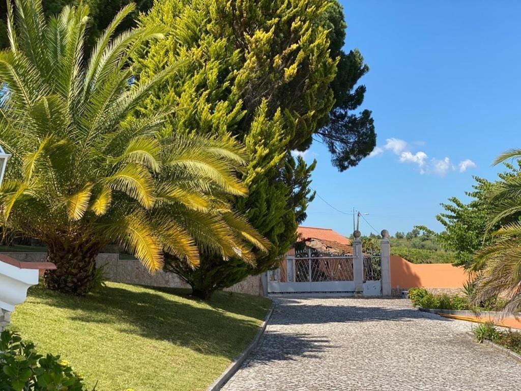 Quinta Do Alto Dos Pinheiros Villa São João da Ribeira Buitenkant foto