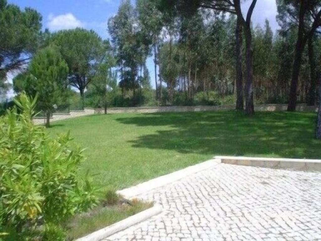 Quinta Do Alto Dos Pinheiros Villa São João da Ribeira Buitenkant foto