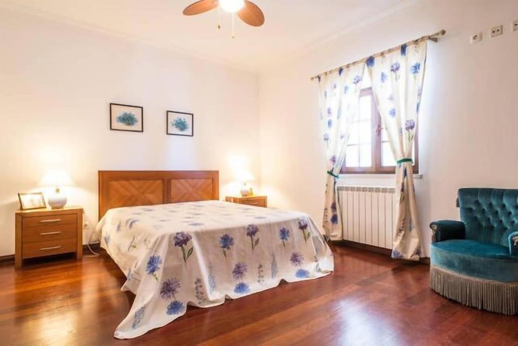 Quinta Do Alto Dos Pinheiros Villa São João da Ribeira Buitenkant foto