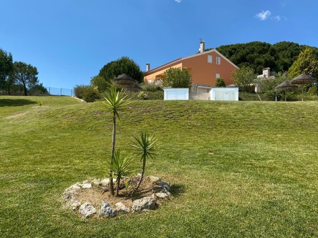 Quinta Do Alto Dos Pinheiros Villa São João da Ribeira Buitenkant foto