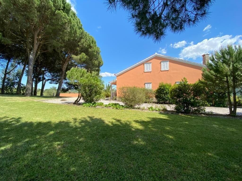 Quinta Do Alto Dos Pinheiros Villa São João da Ribeira Buitenkant foto