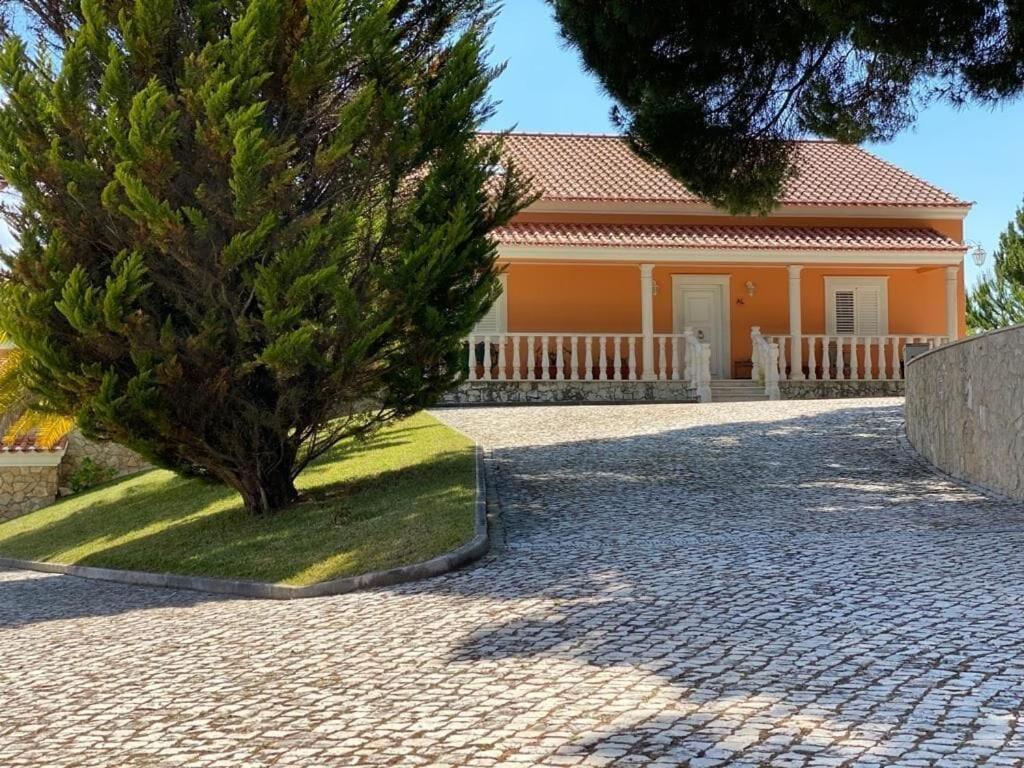 Quinta Do Alto Dos Pinheiros Villa São João da Ribeira Buitenkant foto